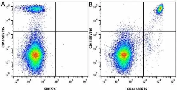 Anti Human CD33 Antibody, clone WM53 gallery image 43
