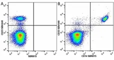 Anti Human CD33 Antibody, clone WM53 gallery image 44