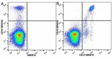 Anti Human CD33 Antibody, clone WM53 gallery image 45
