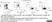 Anti Human CD33 Antibody, clone WM53 thumbnail image 5