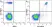 Anti Human CD33 Antibody, clone WM53 thumbnail image 50