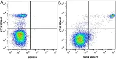 Anti Human CD33 Antibody, clone WM53 gallery image 51