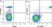 Anti Human CD33 Antibody, clone WM53 thumbnail image 51