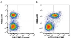 Anti Human CD335 Antibody, clone 9E2 gallery image 1