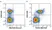 Anti Human CD335 Antibody, clone 9E2 thumbnail image 1