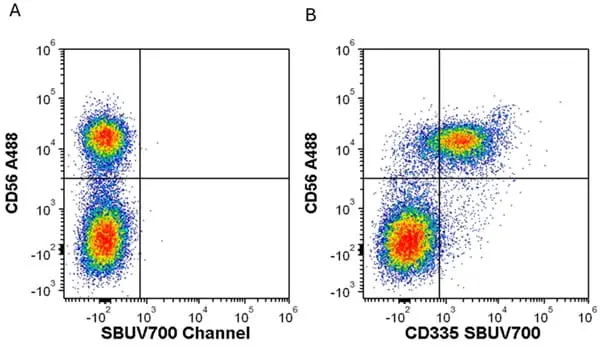 Anti Human CD335 Antibody, clone 9E2 gallery image 2