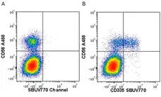 Anti Human CD335 Antibody, clone 9E2 gallery image 3