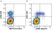 Anti Human CD335 Antibody, clone 9E2 thumbnail image 3