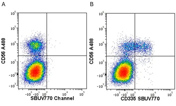 Anti Human CD335 Antibody, clone 9E2 gallery image 3