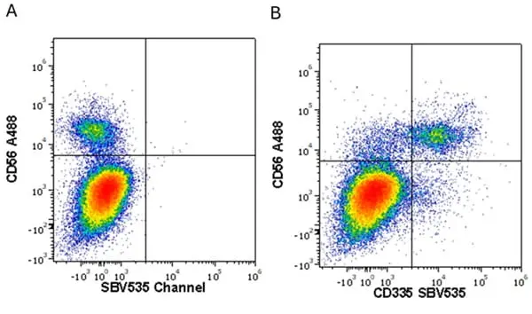 Anti Human CD335 Antibody, clone 9E2 gallery image 4
