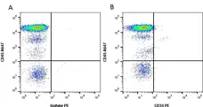 Anti Human CD34 Antibody, clone QBEND/10 gallery image 1