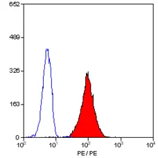 Anti Human CD35 Antibody, clone E11 gallery image 2