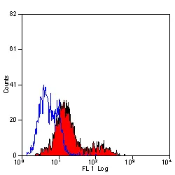 Anti Human CD35 Antibody, clone E11 gallery image 3