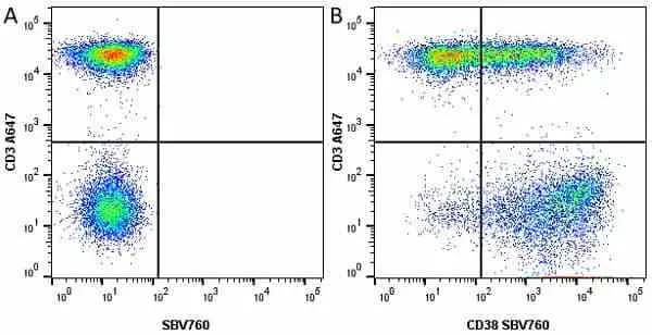 Anti Human CD38 Antibody, clone AT13/5 gallery image 11