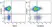 Anti Human CD38 Antibody, clone AT13/5 thumbnail image 13