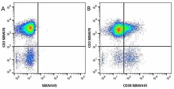 Anti Human CD38 Antibody, clone AT13/5 gallery image 13