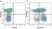 Anti Human CD38 Antibody, clone AT13/5 thumbnail image 14
