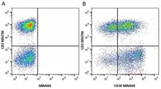 Anti Human CD38 Antibody, clone AT13/5 gallery image 16