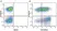 Anti Human CD38 Antibody, clone AT13/5 thumbnail image 16