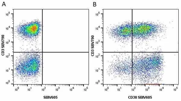 Anti Human CD38 Antibody, clone AT13/5 gallery image 16