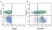 Anti Human CD38 Antibody, clone AT13/5 thumbnail image 17