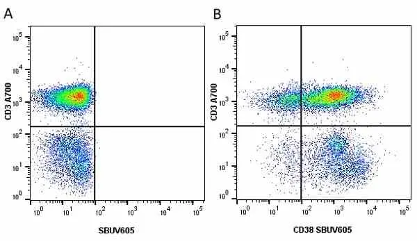 Anti Human CD38 Antibody, clone AT13/5 gallery image 17