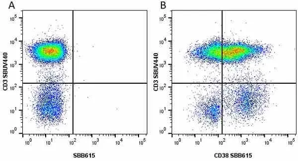 Anti Human CD38 Antibody, clone AT13/5 gallery image 18