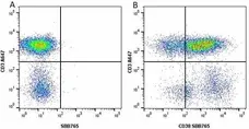 Anti Human CD38 Antibody, clone AT13/5 gallery image 20