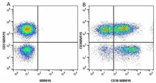 Anti Human CD38 Antibody, clone AT13/5 gallery image 21