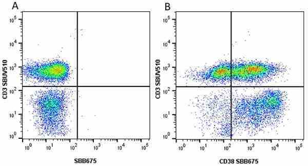 Anti Human CD38 Antibody, clone AT13/5 gallery image 22