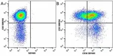 Anti Human CD38 Antibody, clone AT13/5 gallery image 24