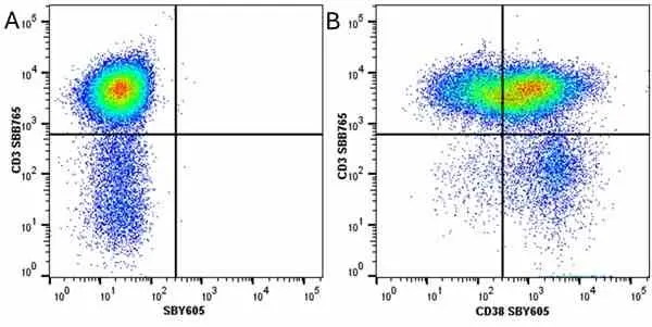 Anti Human CD38 Antibody, clone AT13/5 gallery image 24
