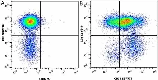 Anti Human CD38 Antibody, clone AT13/5 gallery image 26