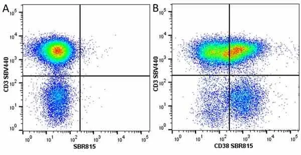 Anti Human CD38 Antibody, clone AT13/5 gallery image 27