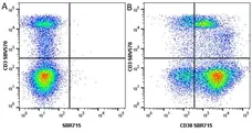 Anti Human CD38 Antibody, clone AT13/5 gallery image 29