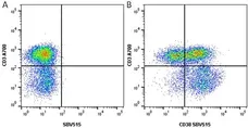 Anti Human CD38 Antibody, clone AT13/5 gallery image 3