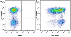 Anti Human CD38 Antibody, clone AT13/5 gallery image 30
