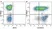 Anti Human CD38 Antibody, clone AT13/5 thumbnail image 32