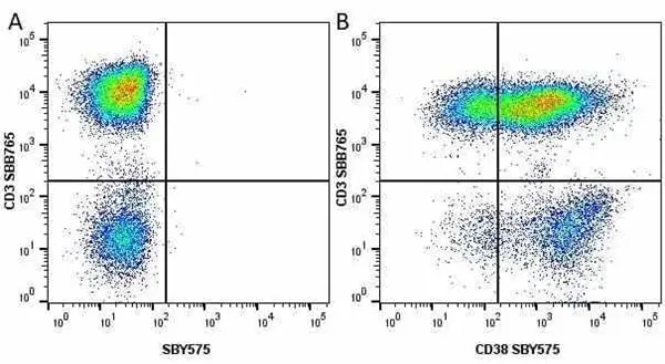 Anti Human CD38 Antibody, clone AT13/5 gallery image 32