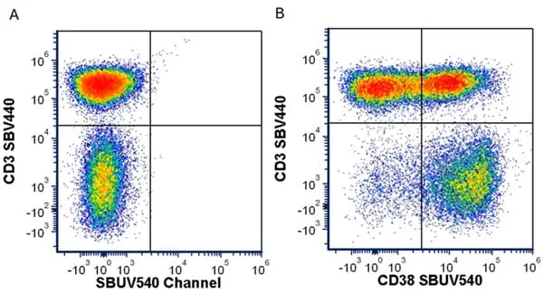 Anti Human CD38 Antibody, clone AT13/5 gallery image 33