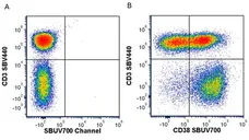 Anti Human CD38 Antibody, clone AT13/5 gallery image 34