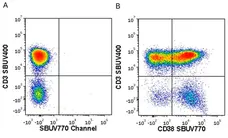 Anti Human CD38 Antibody, clone AT13/5 gallery image 35
