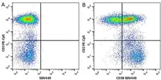Anti Human CD38 Antibody, clone AT13/5 gallery image 5