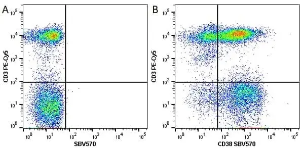 Anti Human CD38 Antibody, clone AT13/5 gallery image 7