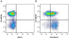 Anti Human CD38 Antibody, clone AT13/5 gallery image 9