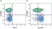 Anti Human CD38 Antibody, clone AT13/5 thumbnail image 9