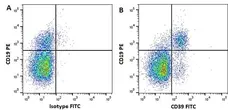 Anti Human CD39 Antibody, clone A1 gallery image 1