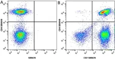 Anti Human CD4 Antibody, clone RPA-T4 gallery image 105