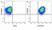 Anti Human CD4 Antibody, clone RPA-T4 thumbnail image 117