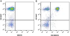 Anti Human CD4 Antibody, clone RPA-T4 gallery image 12